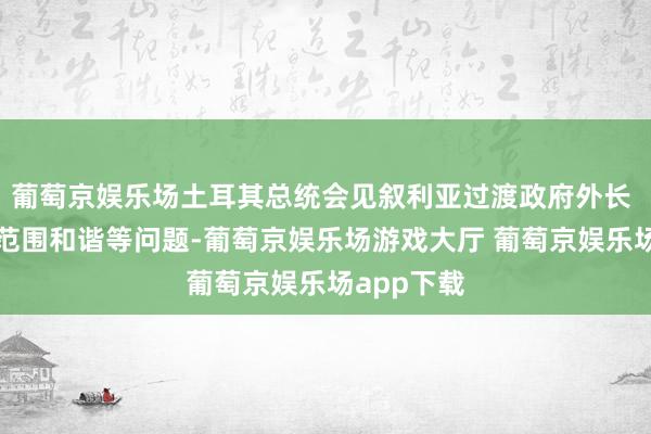 葡萄京娱乐场土耳其总统会见叙利亚过渡政府外长 将究诘各范围和谐等问题-葡萄京娱乐场游戏大厅 葡萄京娱乐场app下载